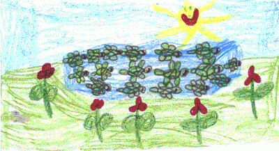 bunte wiese